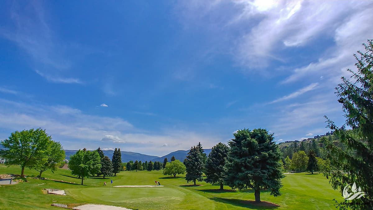 A Trailhead green with golfers putting, firs along the fairway and mountains beyond