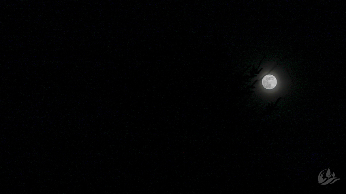 moon over Liberty Lake